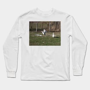 Geese fighting Long Sleeve T-Shirt